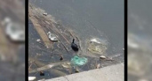 В Новороссийске Суджукская лагуна утопает в мусоре: жители города снимают фото и видео, как дикие птицы выводят птенцов
