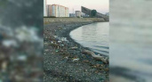 Горожане возмущены заваленным мусором берегом около одной из главных достопримечательностей Новороссийска
