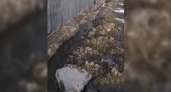 Жители Новороссийска пожаловались, что уже два месяца канализационные воды текут людям под ноги