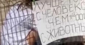 «Не хотите сделать снимок с человеком?»: в Анапе провели акцию в защиту животных от фотографов - живодеров