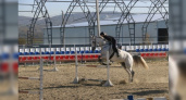 В новороссийской конно-спортивной школе «Пегас» завершается строительство крытого ангара