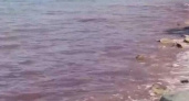 Черное море между Новороссийском и Анапой окрасилось в красный цвет: видео
