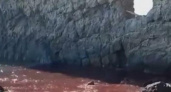 Море цвета крови: под Геленджиком в районе скалы Парус вода окрасилась в красный цвет