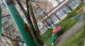 Новороссийцы сняли на видео кишащую гусеницами детскую площадку
