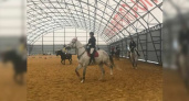 В Новороссийске состоялось открытие крытого манежа конно-спортивной школы «Пегас»