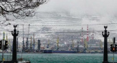 В Новороссийск пришла зима: 35 шикарных фото заснеженного города