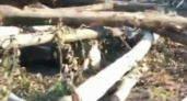 Под Новороссийском по дороге на Неберджай вырубают лес ради бесперебойного водоснабжения