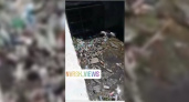 «Позорище!!!»: горожане обнаружили горы зловонного мусора в ливневой канализации на территории автовокзала Новороссийска