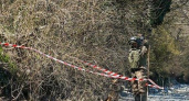 Эхо войны: на озере Абрау нашли мину времен Великой Отечественной войны