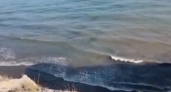 «Не вода, а кофе с молоком!»: новороссийцы заметили, что в море в районе дикого пляжа на Мысхако сливают канализацию