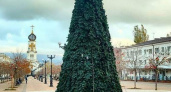 В Новороссийске на бульваре Черняховского установили первую новогоднюю елку