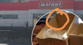 "Какая мерзость!": тараканы кишат в коробке из-под орехов в одном из «Магнитов» Новороссийска