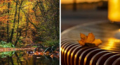 «Здесь пламенная листва на деревьях»: фотограф нашел место в Новороссийске, где осень поражает своей красотой