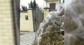 «Это страшно! Апокалипсис какой-то!»: станицу под Анапой заволокло паутиной из-за нашествия пауков