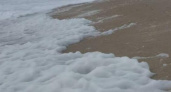 «В море насыпали «Тайд?»: побережье Анапы заметает морской пеной