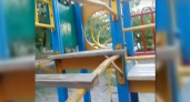 Неадекватные подростки разломали детскую площадку в Гайдуке