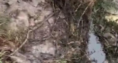 В Новороссийске неизвестные слили отработанное масло в реку, которую на днях дети очищали от мусора