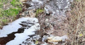 Вода цвета крепкого индийского чая: в реку Озереевка под Новороссийском стекают нечистоты
