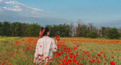 10 ярких фото: под Новороссийском расцвело маковое поле (координаты)