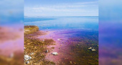 Воды у острова Суджук окрасились в насыщенно-розовый цвет