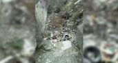 Жители Восточного района Новороссийска пожаловались на свалку неподалеку от русла реки