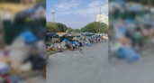 «Срач такой! Крысы по ночам бегают!»: новороссийцы продолжают выкладывать в социальные сети мусорные свалки в городе