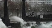 «Колючий ветер весны»: 25 атмосферных фото шторма и обледеневшей набережной Новороссийска