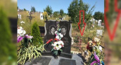 «Люди перестали быть людьми»: в Новороссийске с могилы украли многолетнее дерево