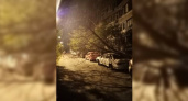Сломанные деревья и летающие мусорные баки: сегодня ночью в Новороссийске дул норд-ост
