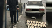 В Новороссийске задержали браконьера с 50 килограммами судака: мужчине грозит штраф более 140 тысяч рублей