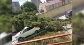 В Новороссийске из-за ветра на «легковушку» упал огромный тополь: фотографии происшествия появились в соцсетях