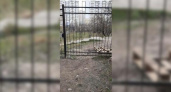Жители Новороссийска просят обустроить дополнительную калитку для входа во Дворец Творчества со стороны Пионерской рощи