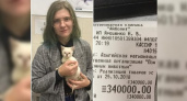 На Кубани девушка оплатила долг приюта для бездомных животных в размере 340 тысяч рублей ради спасения котенка