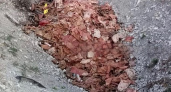 Под Новороссийском в поселке Верхнебаканском местные жители обнаружили карьер с останками свиней 