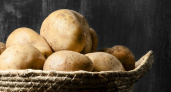 Картофель пролежит долго без гнили и не прорастая: вот какой совет дал агроном со стажем — нужно сделать 1 вещь