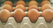 Точка в вопросе поставлена: стало известно, нужно ли мыть покупные куриные яйца