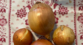 Лук «вымахает» огромным, если так обойтись с рассадой: секрет от агронома, чтобы получить луковицы по 500 граммов