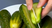 Такие малосольные огурцы готовятся быстро: 3 лучших и вкусных способа за 1 день