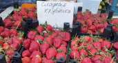 Цены радуют! На рынках Новороссийска появилась клубника