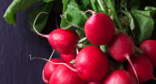 5 ложек на ведро — и редис начнёт расти как на дрожжах: будет крупным и сочным — мощная подкормка