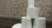 Названа самая популярная туалетная бумага: мягкая, безопасная и растворяется в воде, а труба не засорится