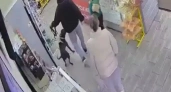Укусила за лицо: в Краснодаре собака набросилась на ребёнка в магазине 
