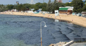 Оперштаб: черные водоросли на побережье Анапы – это не нефть, а результат процесса гниения