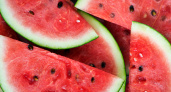 После – уже чистый яд: Роскачество назвало срок хранения разрезанного арбуза в холодильнике