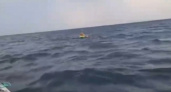 Отца с сыном унесло на сап-борде в открытое море под Новороссийском