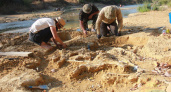 На берегу реки в Абинском районе нашли кости мамонта, которым около 20 тысяч лет