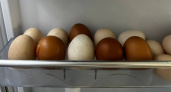 Сколько можно хранить яйца дома в холодильнике: диетолог назвал максимальный срок - мы делали неверно
