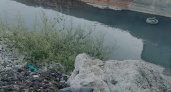«Воняет, как из мусорного ведра!»: вода в реке Озерейка под Новороссийском по-прежнему серая и грязная 