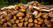 Тепло за счет государства: как законно бесплатно получить дрова для частного дома  