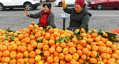 Мандариновый рай! Из Абхазии в Сочи уже привезли более 153 тонн новогодних фруктов - сезон открыт